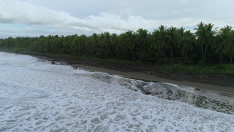 toma aérea en órbita mientras el hombre corre por la playa tropical de palo seco cubierta de madera a la deriva