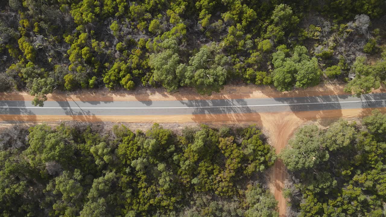 vuelo aéreo de arriba hacia abajo a lo largo de un camino rural vacío durante el día soleado rodeado de árboles forestales