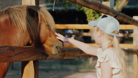 Mädchen-Streichelt-Ein-Süßes-Pony,-Das-Hinter-Dem-Zaun-Hervorschaut