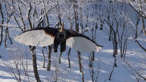 flying monkey in a snowy forest