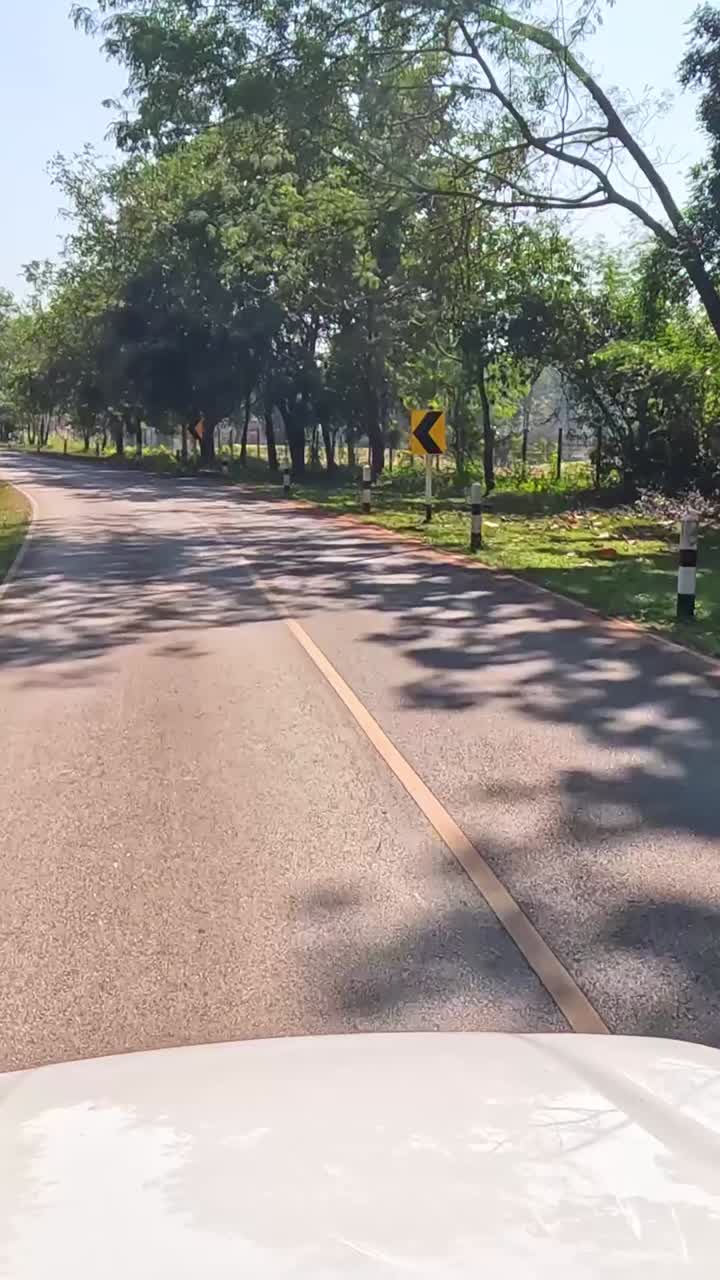 viaje en coche por una carretera rural soleada y bordeada de árboles.