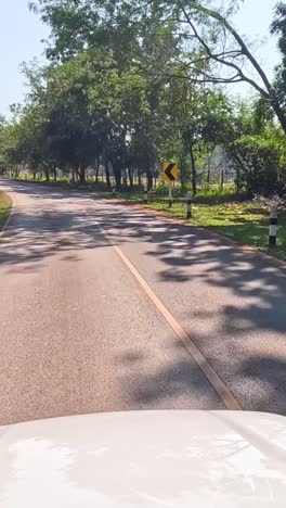 car journey on a sunny, tree-lined rural road.