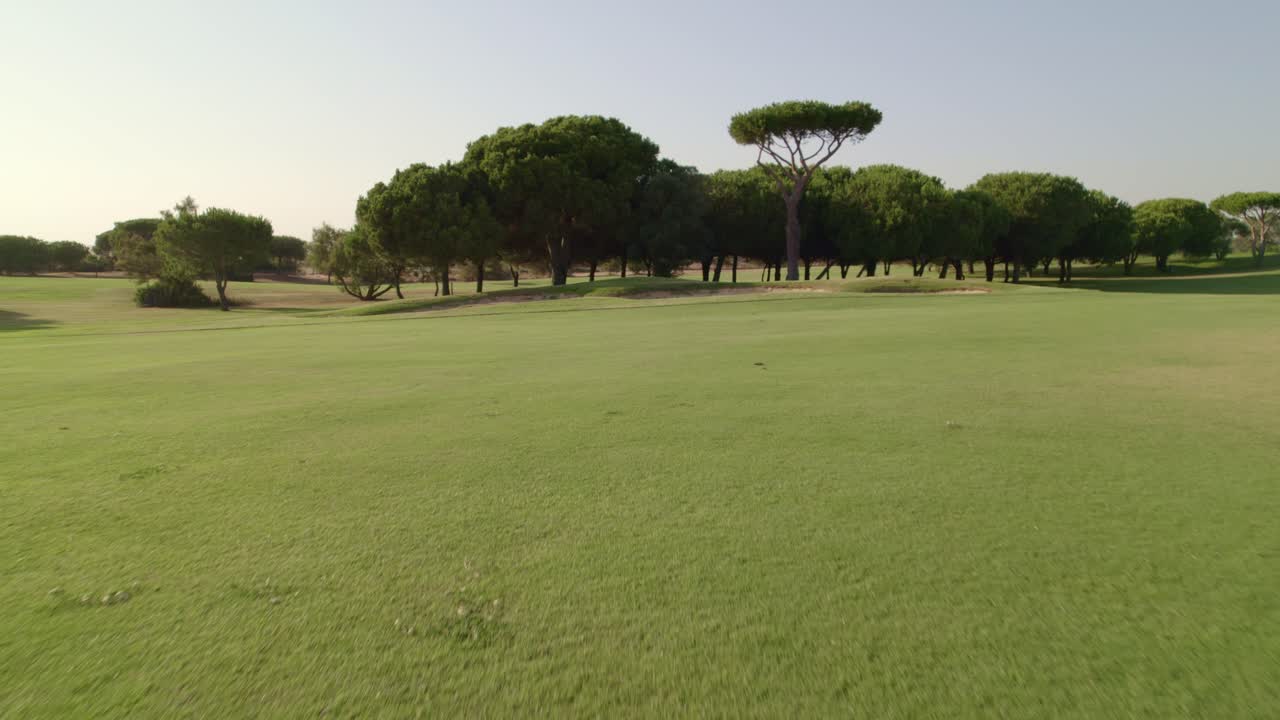 Terreno ed erba del fairway di un campo da golf