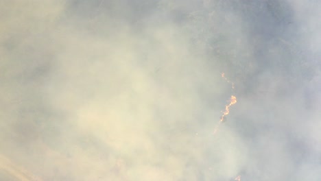Direkt-Nach-Unten-Gerichtete-Luftaufnahme-Von-Waldbränden,-Die-Während-Einer-Dürre-Die-Feuchtgebiete-Des-Brasilianischen-Pantanal-Verbrennen