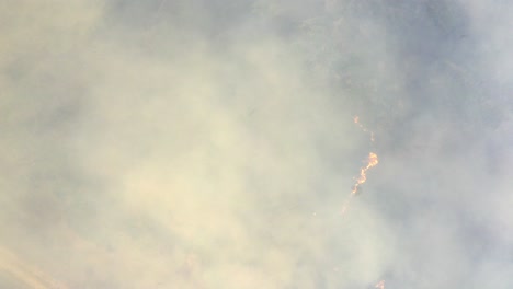 straight down aerial view of wildfires burning the brazilian pantanal's wetlands wilderness during a drought