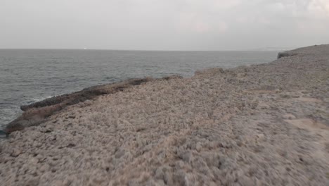 drone shot revealing the sea from the land on a foggy day