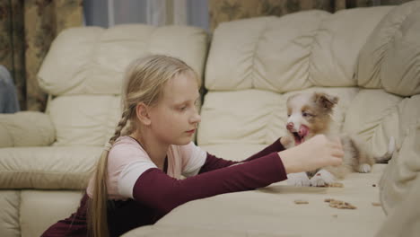 funny two-year-old boy feeding a puppy