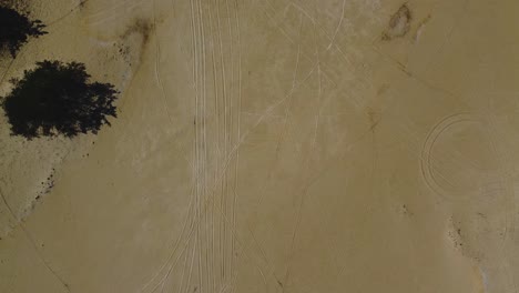 un avión no tripulado captura el desierto sereno y los árboles en la isla de hiiumaa - imágenes de 4k