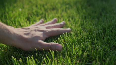 Hand-strokes-evenly-cut-grass-on-the-lawn