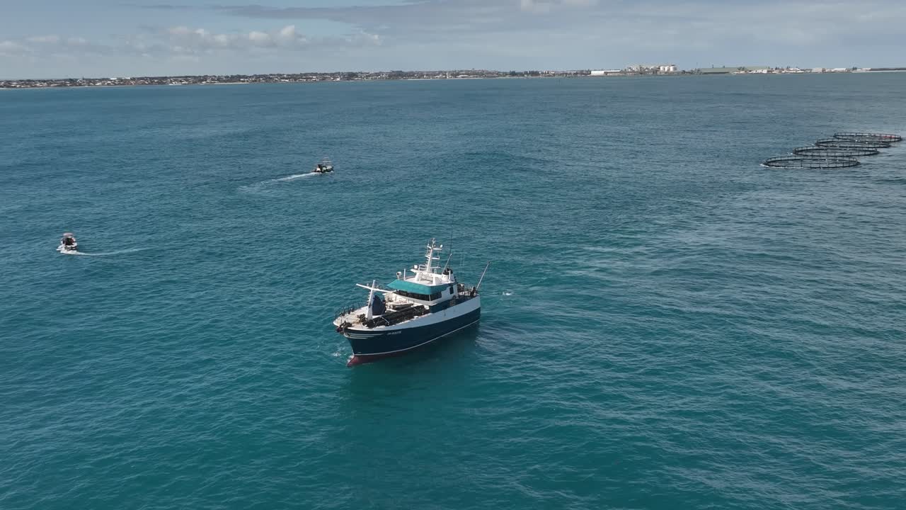 un buque marino de tamaño mediano remolca cuatro granjas de peces a lo largo de la costa occidental de australia.