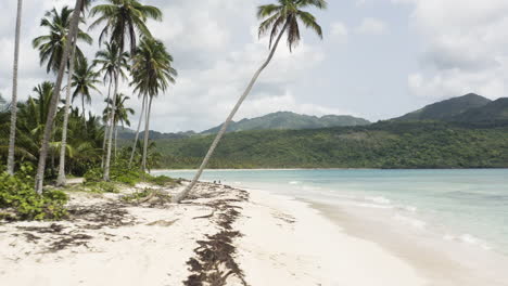 extracción aérea suave y rápida a lo largo de hermosas playas de arena blanca de playa rincón en la república dominicana