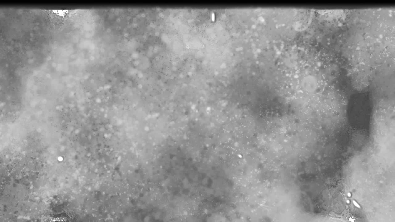 Words 3 Alpha Film Effects i hvite bokstaver skrevet over vintage slitt analog film