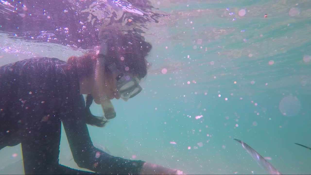 얕은 맑은 물에서 스노클링과 여러 물고기에게 먹이를 주는 여성