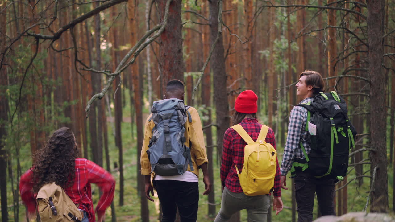 amigos haciendo senderismo en un bosque.