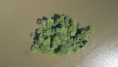 Isla-Green-Patch-En-Mullagh-Lough-Lake-Cavan-Irlanda-Antena