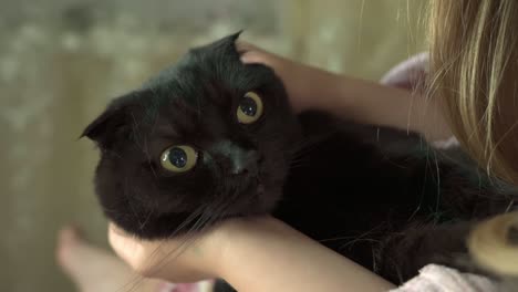 girl pets her pet cat.