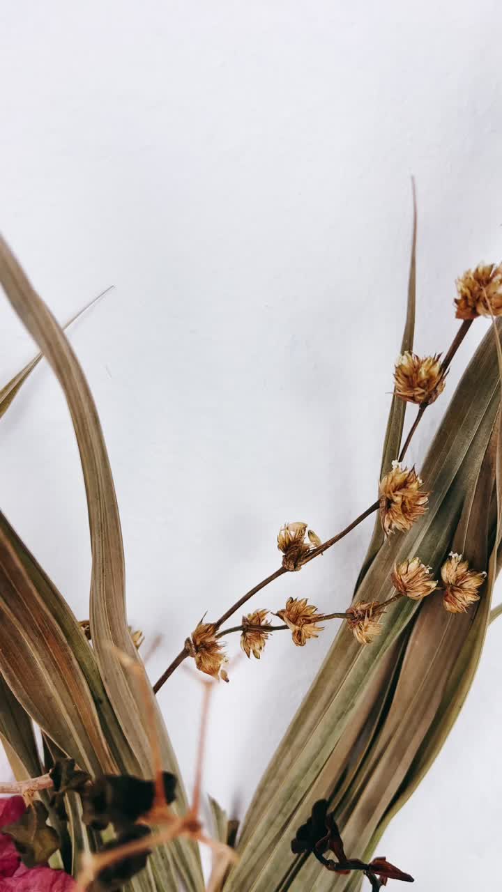 Dried Botanical Arrangement