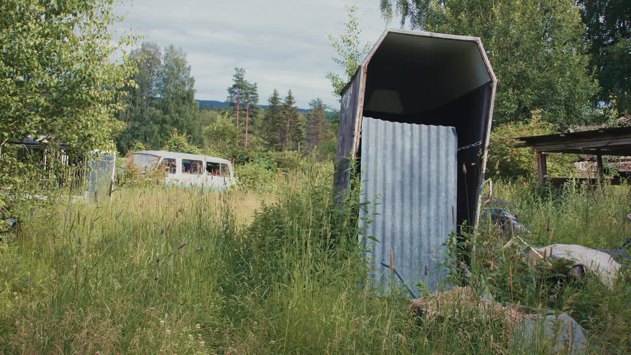Lush overgrown grass surrounds a dilapidated metal shed and old vehicles in a rural setting.