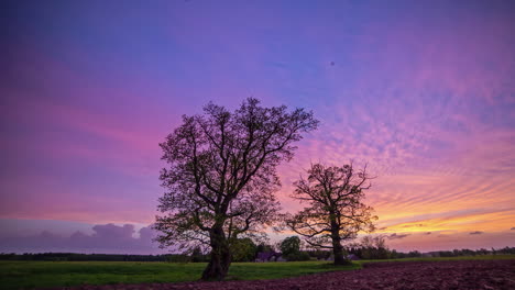 Scenic-view-of-orange-and-golden-sunset-over-the-green-grasslands-and-trees-in-the-countryside-in-the-evening