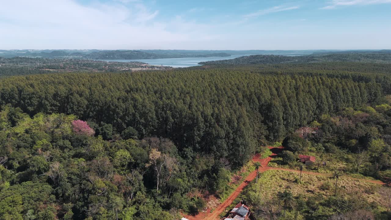 una vasta plantación de eucaliptos vista desde arriba por un dron, con el río paraná y paraguay en el fondo