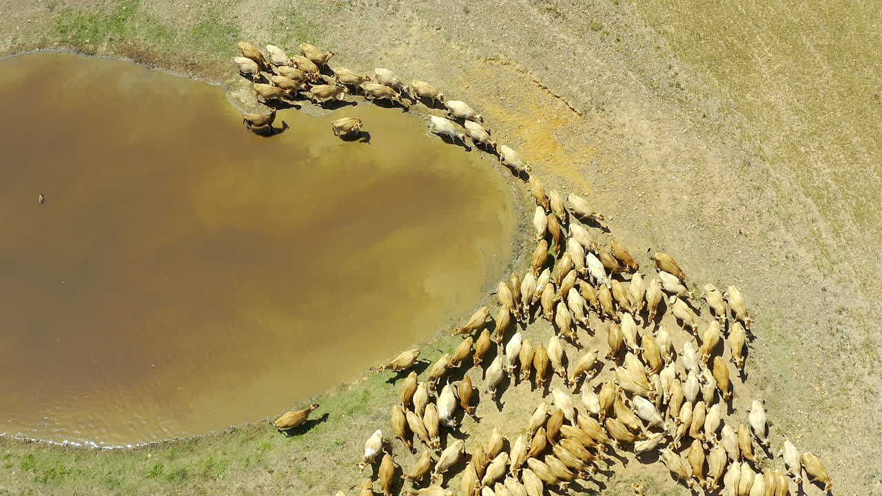 You'll find us close to the watering hole