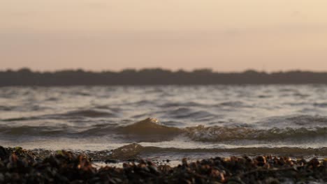 waves in kaunas sea