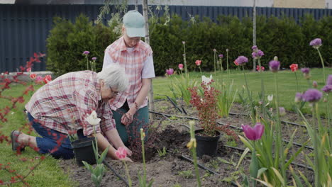 grandmother and granddaughter plant flowers together in the backyard of the house