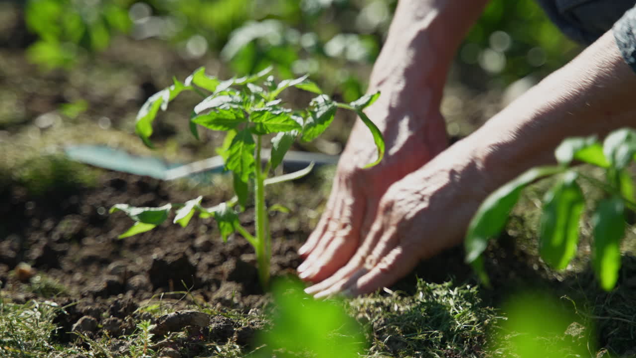 Close-up of hands digging up the ground to plant vegetables