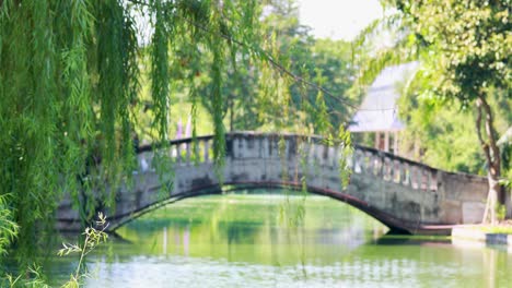 peaceful stone bridge over calm river surrounded by lush greenery