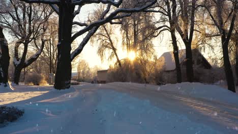 snow covered road and sunshine glowing through tree branches near small village, dolly forward