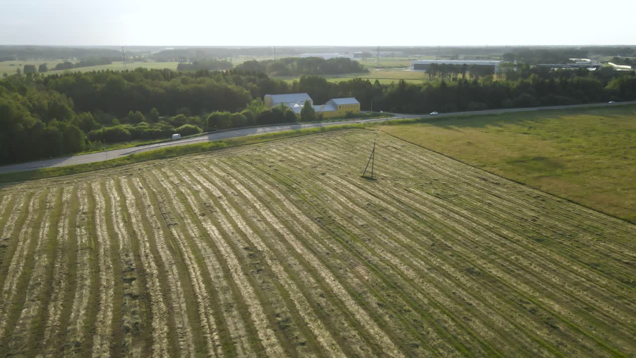 Aerial drone footage flying above a large farm field with freshly cut silage hay in lines and electrical lines above it visible. The grassy field is golden brown and green while a highway is visible