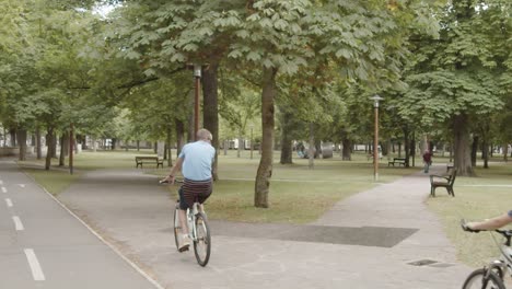 tilt shot of a cycle lane in a