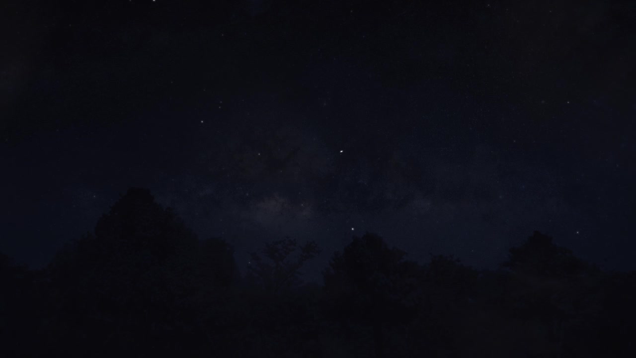 Satellite in transito visto sopra gli alberi nel cielo notturno