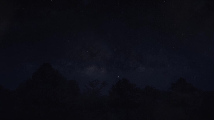Satellite in transito visto sopra gli alberi nel cielo notturno