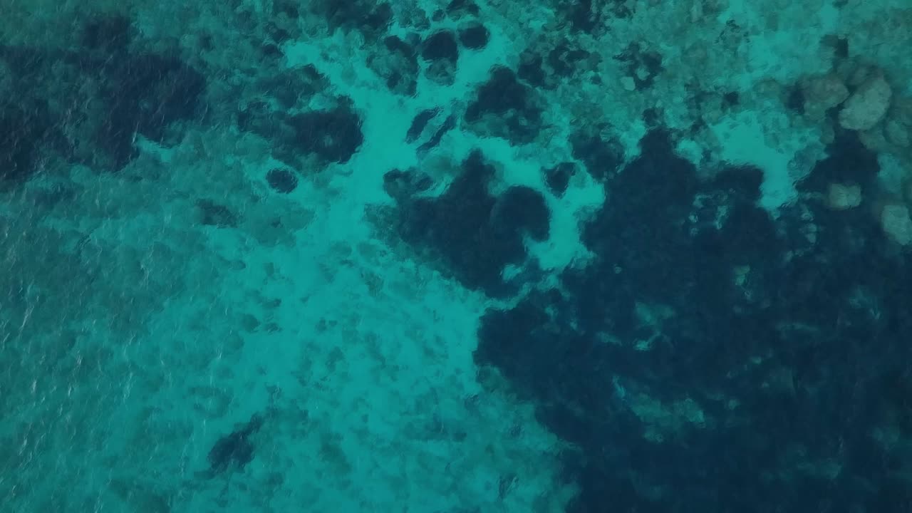 Barriera corallina poco profonda di Minorca, Spagna