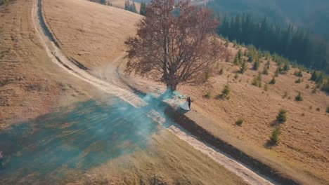 vista aérea de una pareja tomándose de la mano bajo un árbol con humo azul