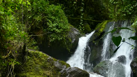 close up of a waterfall in tropical forest with small exotic birds flying around