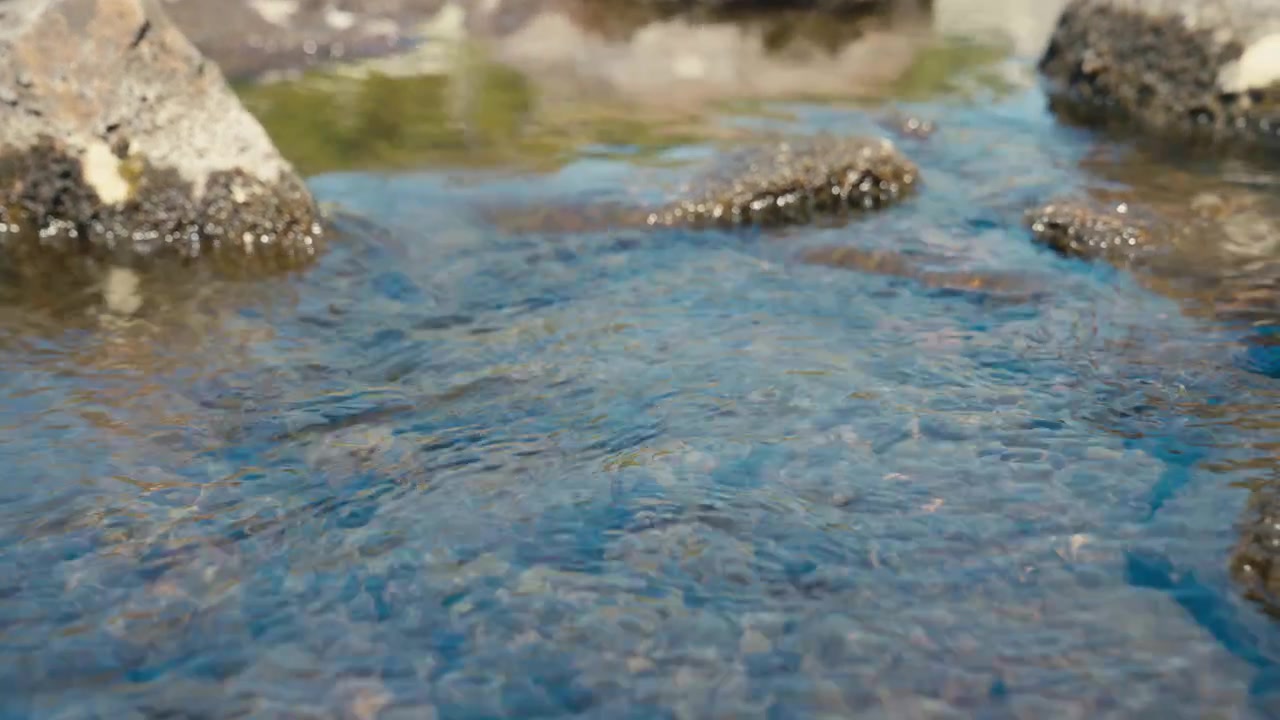Primo piano astratto di acqua di montagna cristallina che scorre su un letto di ruscello roccioso, evidenziando purezza, movimento e natura selvaggia incontaminata. Telecamera in movimento su slider