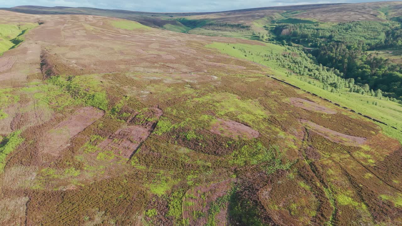 fotografía de un avión no tripulado de campos de pastoreo en el embalse de errwood durante el día en inn derbyshire, inglaterra