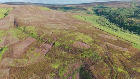 Drone-shot-of-grazing-fields-at-Errwood-reservoir-during-daytime-inn-Derbyshire,-England