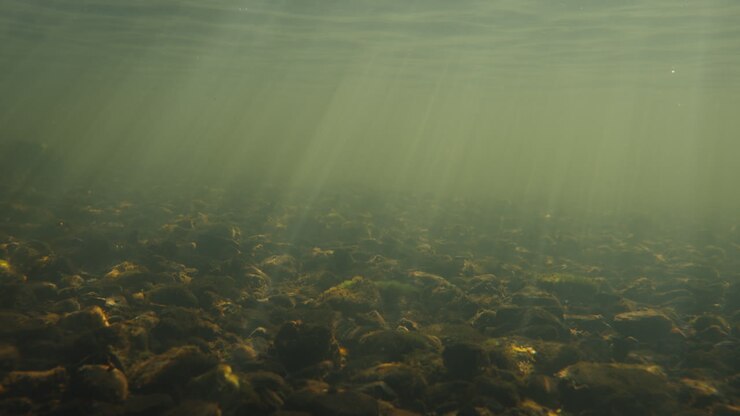 Sunlight Through Underwater Riverbed