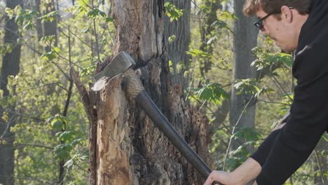 Caucasian-man-pulls-an-axe-out-of-a-tree-stump