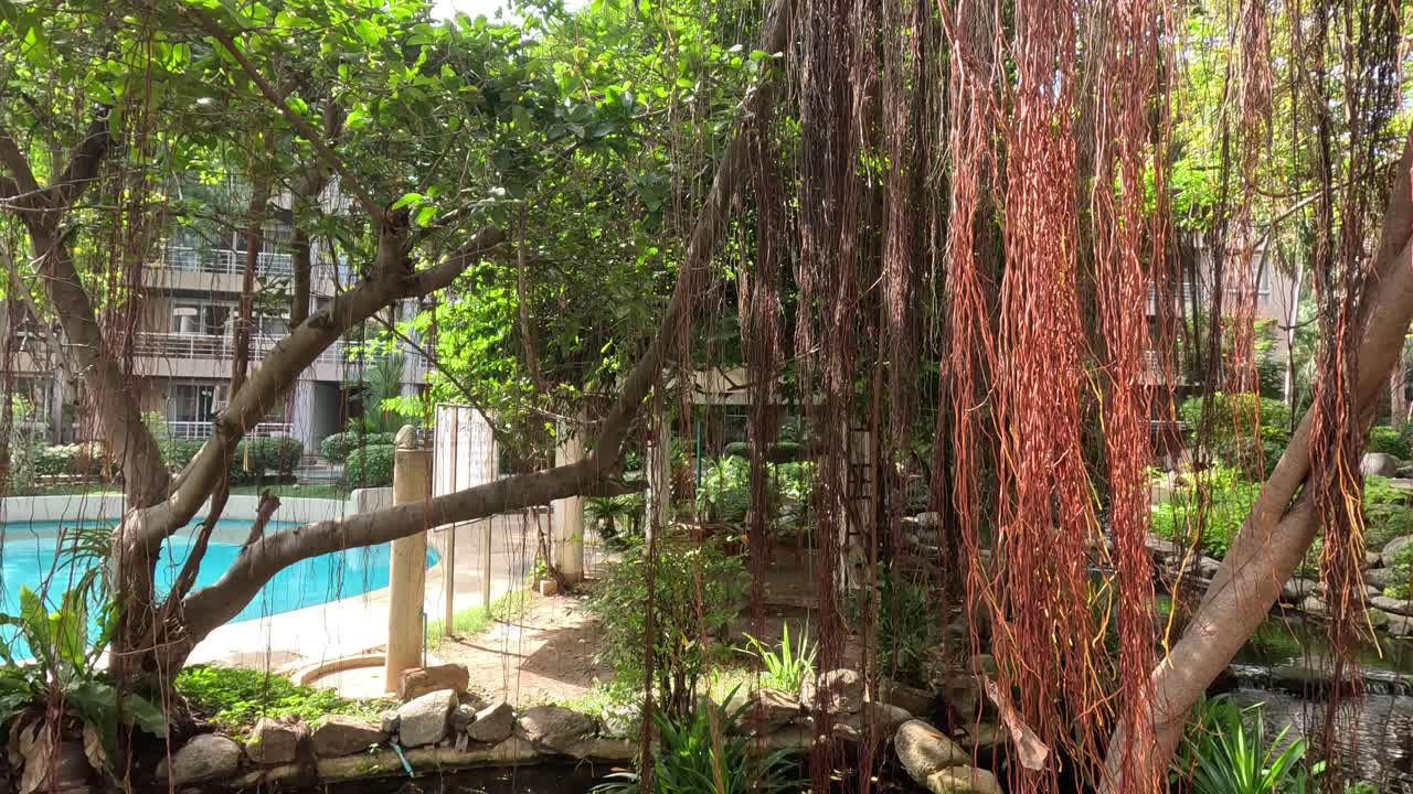 평화로운 정원과 수영장이 조용한 환경에 있습니다.