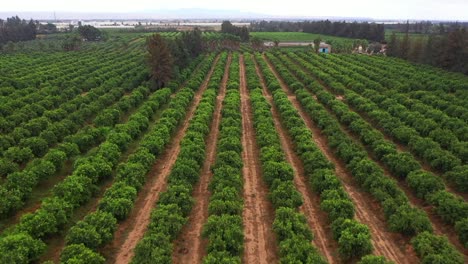 Sumérgete-En-El-Encantador-Mundo-De-La-Vida-Campesina-A-Través-De-Impresionantes-Imágenes-De-Drones-De-Viaje,-Capturando-La-Belleza-Rústica-De-Los-Paisajes-Rurales,-La-Naturaleza-Tradicional