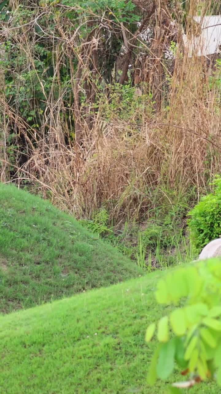 전통적인 중국 묘지의 조용한 풍경