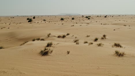 desert landscape