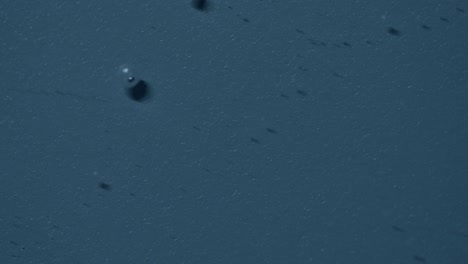 abstract macro shot of clear liquid with tiny bubble floating