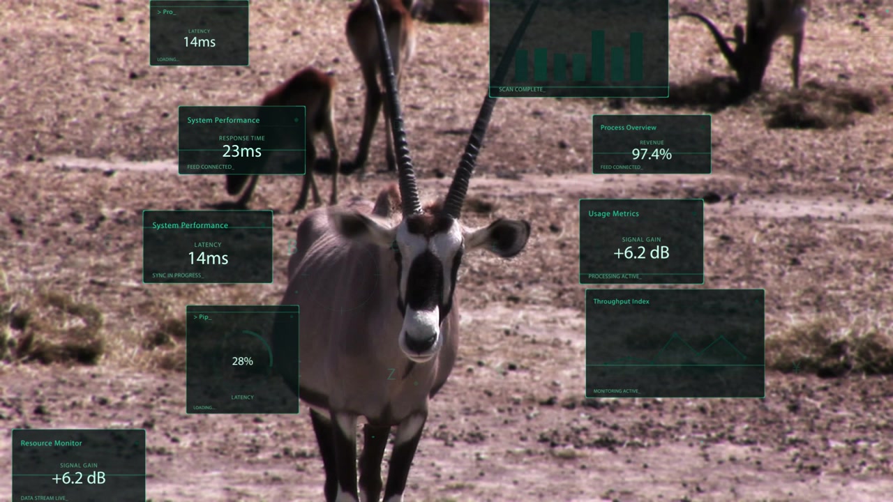 Pannelli HUD attivati dal movimento che appaiono intorno a un'orice che cammina in avanti, visualizzando metriche di performance