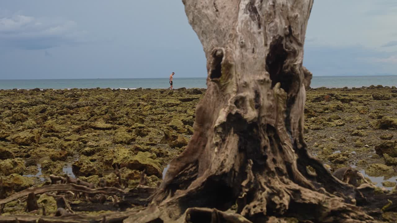 Wide coastal view in Mauban, Quezon Province with large weathered tree trunk in foreground, distant man walking along rocky shore behind it under partly cloudy sky