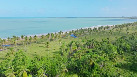 vista aérea del hermoso paisaje con palmeras que fluyen del río a través de la jungla y el mar caribe en segundo plano durante el día soleado